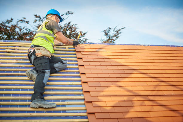 Best Rubber Roofing (EPDM, TPO)  in Zebulon, GA